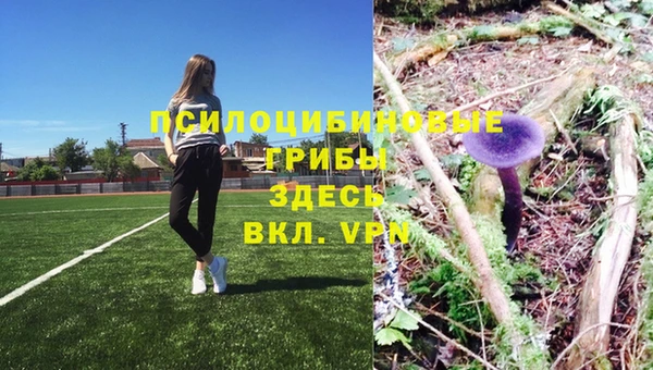 ALPHA-PVP Дмитров
