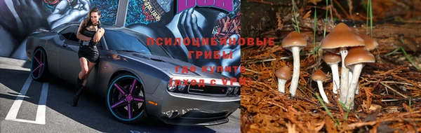 кокс Дмитриев